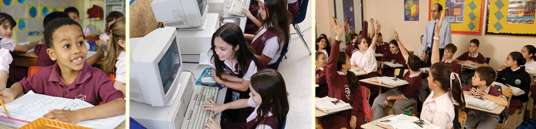 curriculum