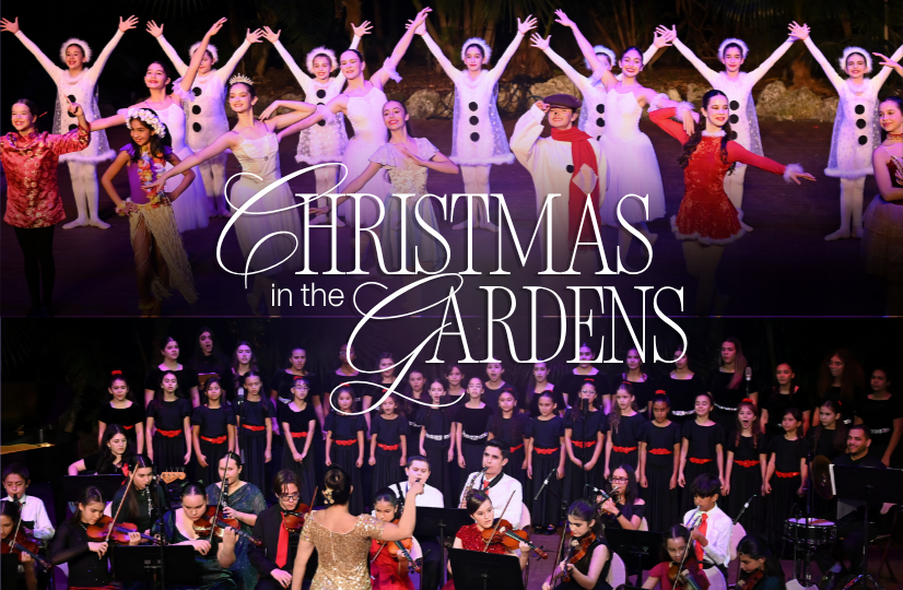 Christmas in the Gardens